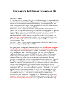 Stratagene`s QuikChange Mutagenesis Kit
