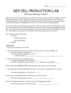 Sex_cell_reproduction_lab
