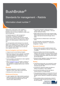 Rabbits (accessible version) [MS Word Document