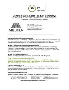 Why is a Sustainable Marketing Summary Needed