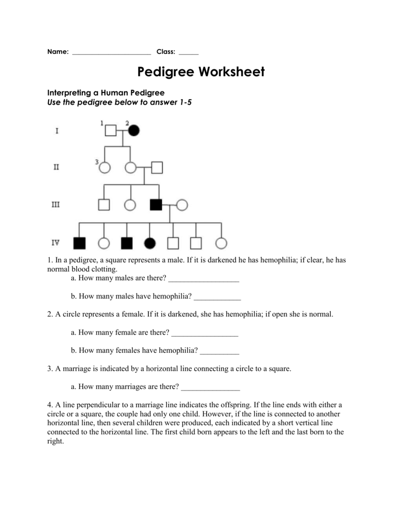 Pedigree Worksheet Answer Key