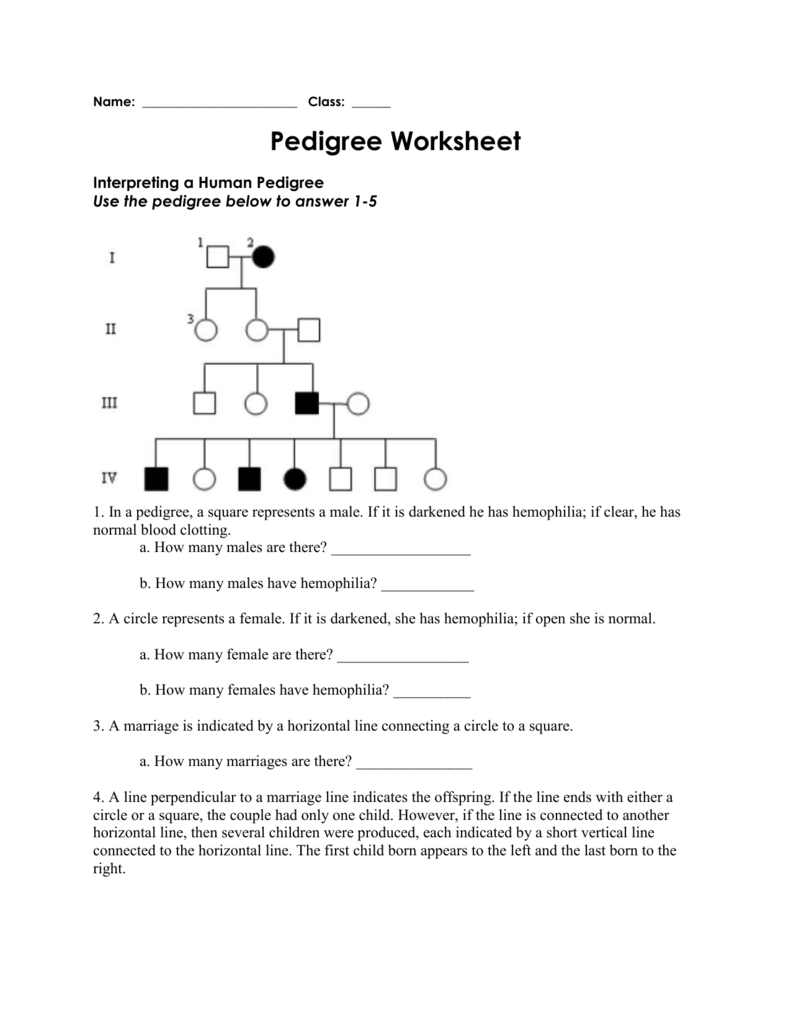 Pedigree Charts Worksheet Answers