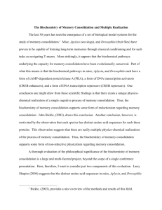 The Biochemistry of Memory Consolidation and Multiple Realization