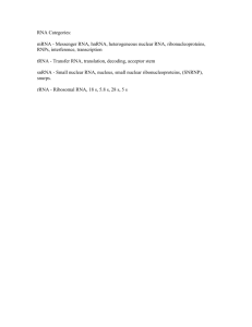 RNA Categories: - The University of West Georgia