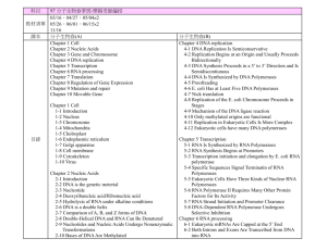 nucleic	chromosomes