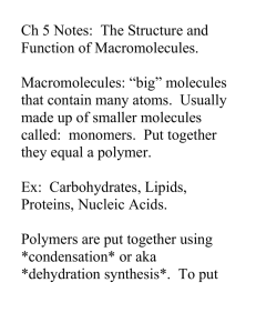 Ch 5 Notes: Macromolecules