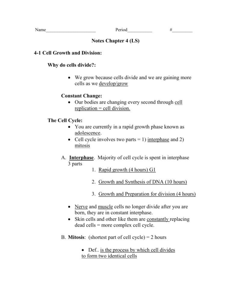 chapter-4-notes-cell-reproduction