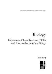 Biology: PCR and Electrophoresis case study