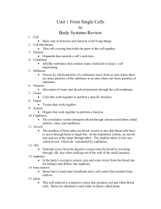 From Single Cells to Body Systems Notes
