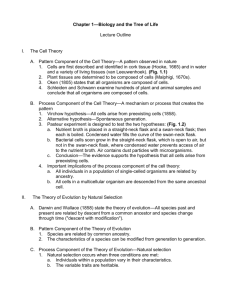 CHAPTER 1: BIOLOGY AND THE TREE OF LIFE