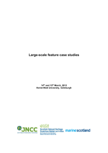 Large-scale feature case studies