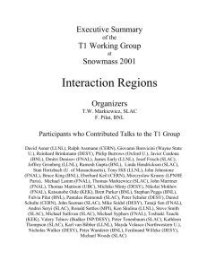 The Interaction Region Working Group