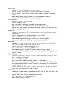 Plant ID Definitions