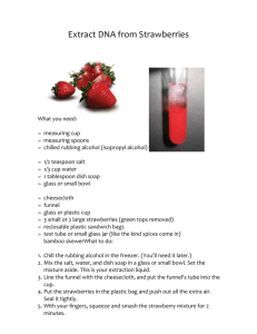 Extract DNA from Strawberries