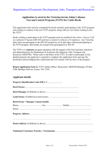 BJDTCP3 Application Form [MS Word Document