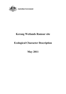 Kerang Wetlands Ramsar site Ecological Character Description