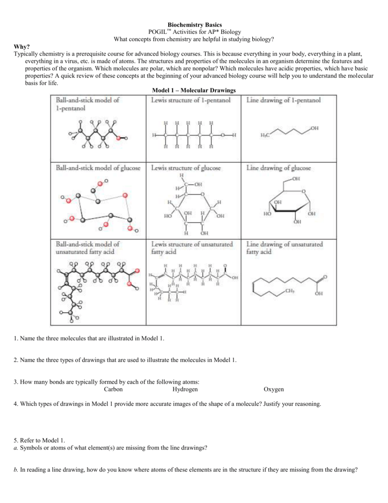 biochemistry basics pdf answer key Biochemistry pogil bicie serca to znak