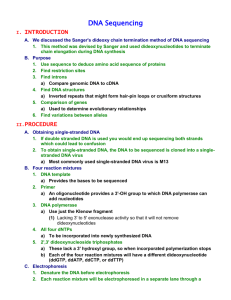 DNA Replication