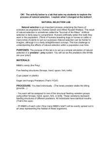 Natural Selection Lab: M&M Predator-Prey Simulation