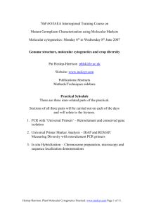 IRAP (interretroelement amplified polymorphism) measurement of