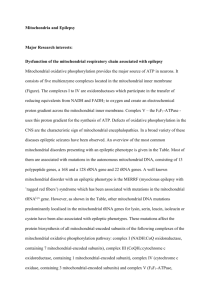 Mitochondria and Epilepsy