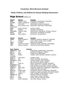 Vocabulary: Word Structure Analysis