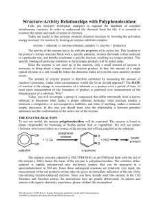 Enzymes - Home Page for Ross Koning