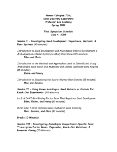Introduction to Seed Development/Arabidopsis as a model organism