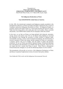 The Indigenous Declaration on Water