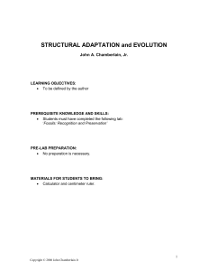 STRUCTURAL ADAPTATION AND EVOLUTION