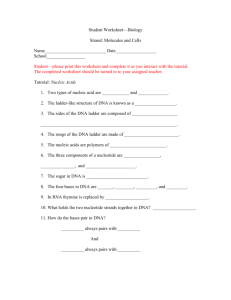 Student worksheet for Nucleic acids