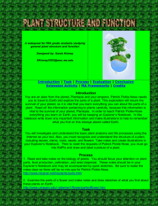 A webquest for fifth grade students studying general plant structure