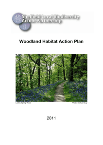 Woodland Habitat Action Plan