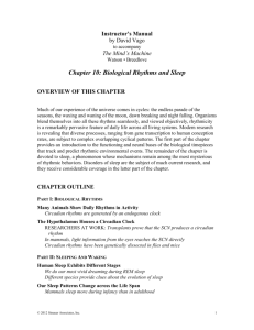 Instructor`s Manual for Chapter 10
