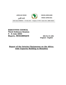Report of the Interim Chairperson on the Africa-wide