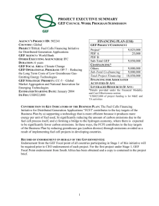 Co-financing - Global Environment Facility