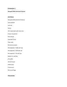 Mosquito DNA Extraction