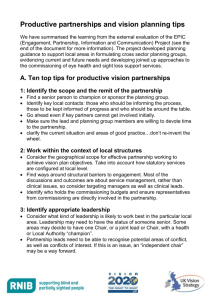 Top Ten Tips Productive Vision Partnerships