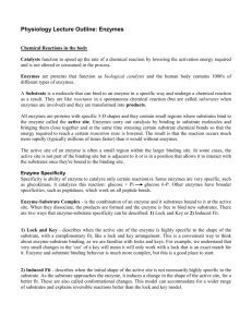 Physiology Lecture Outline: Enzymes