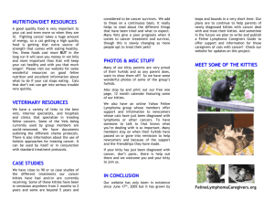 brochure side 2 - Feline Lymphoma Caregivers