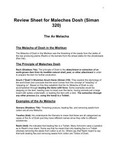 Review Sheet for Maleches Dosh (Siman 320)