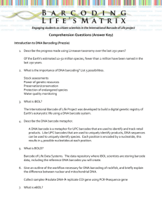 Comprehension Questions Key