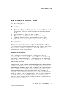 Cell metabolism (Teacher`s notes)