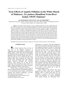 Toxic Effects of Aquatic Pollution on the White Muscle of Mahaseer
