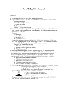 life is a sport essay mission