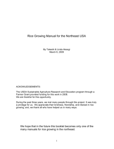 Rice Growing Manual for the Northeast USA
