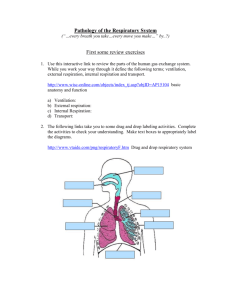 Respiratory System Disorders Assignment