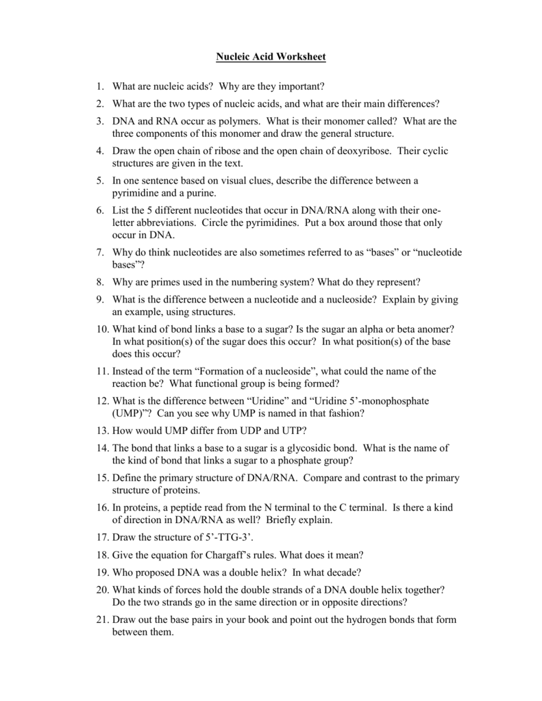 Nucleic Acid Worksheet Honors Intended For Nucleic Acids Worksheet Answers