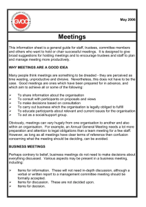 PP Meetings (MS Word 941k)