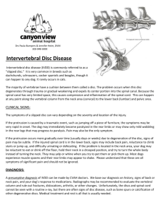 Intervertebral Disc Disease